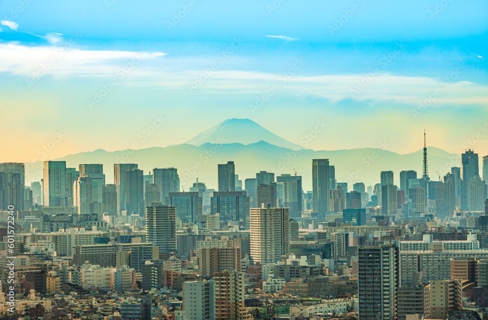 東京から望む富士山と高層ビル群　日本