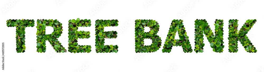 Text TREE BANK green leaves on transparent background Text TREE BANK green leaves on transparent background