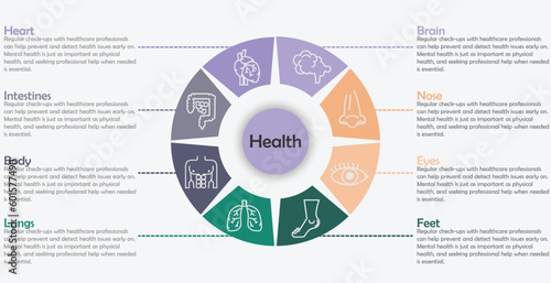 Infographic health care template for treatment and health care information presentation. Vector proportional circle with organ icons and examples sentences. workflow diagrams. Report plan 8 topics