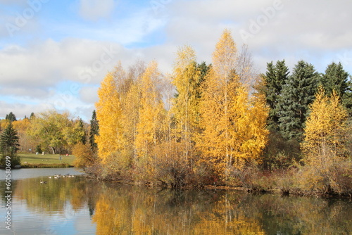 Autumn Colors On The Lake  William Hawrelak Park  Edmonton  Alberta