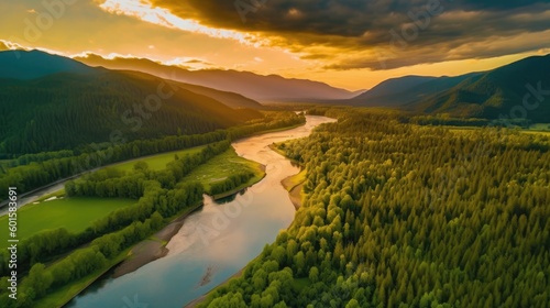 Vast and lush green forest,...