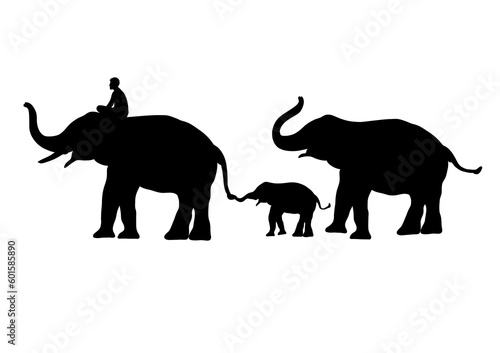 transparency silhouette graphic group elephant walking Illustration