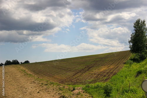春の丘の上の畑 