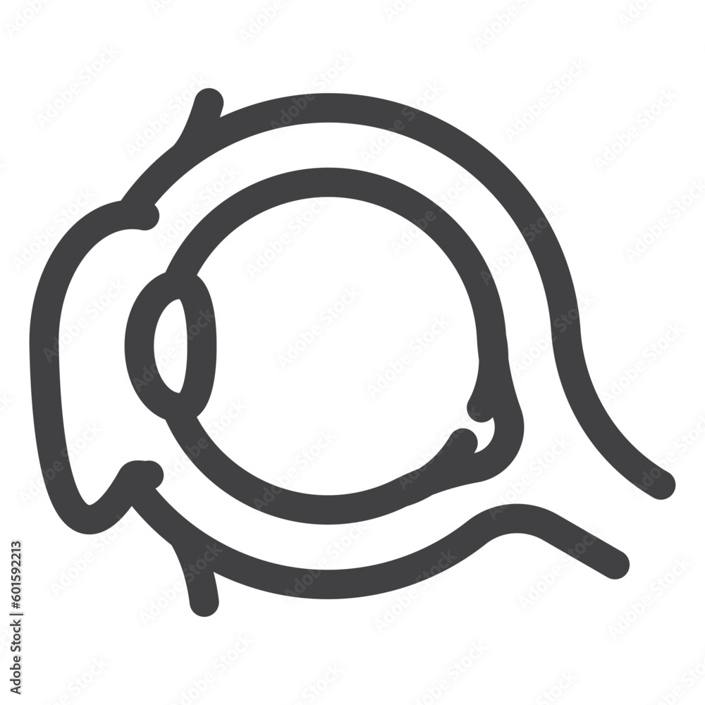 human eye, lens focus inside an eyeball, simple thin line icon human eye, lens focus inside an eyeball, simple thin line icon