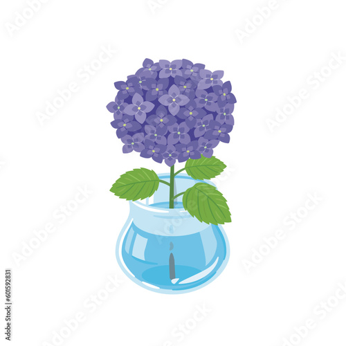 紫　紫陽花　生花