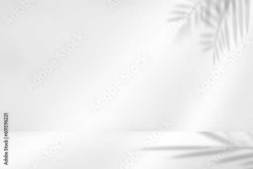 白い壁と白いフローリング。葉のシルエットのモダンな背景