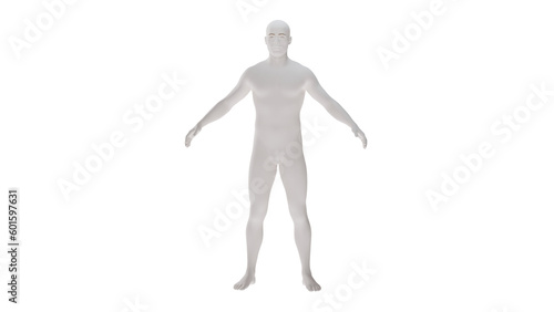 White plastic High resolution conceptual human 3D anatomy body 3d illustration isolated 