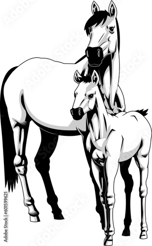 Mare And Foal Horse Graphic Design. Vector Hand Drawn Illustration Isolated On Transparent Background