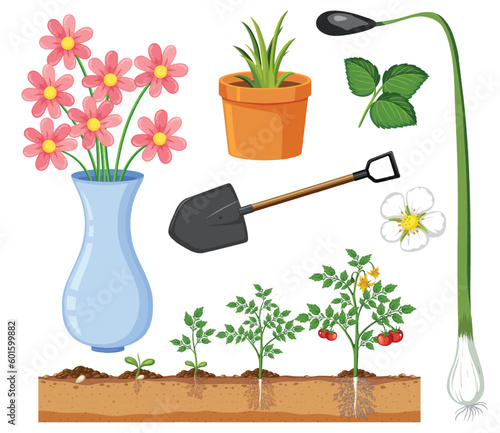 Set of plant and gardening tools and equipment