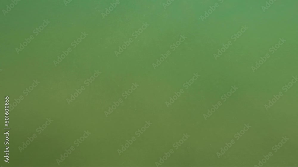 Underwater view showcasing the vibrant green water with a pontoon in the background. Caparica beach. Underwater view showcasing the vibrant green water with a pontoon in the background. Caparica beach.
