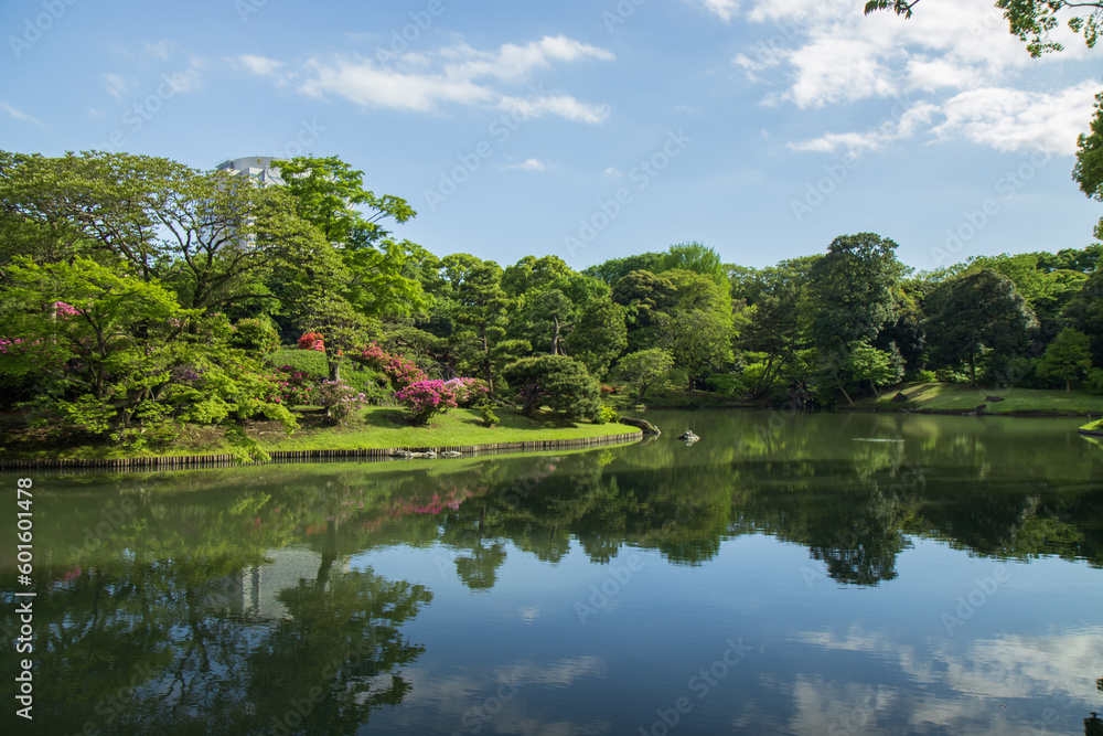 lake in the japanese garden