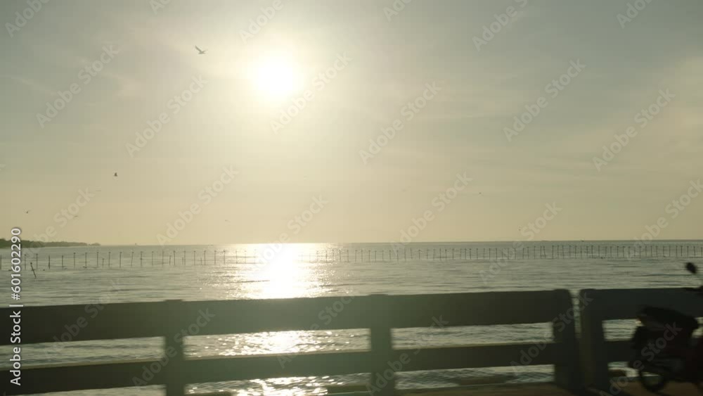 Misty morning sunrise.
A flock of seagulls fly in the sea. Warm sunset sky over the ocean, sun glare. Silhouettes of seagulls flying in slow motion away from the camera with the sea in the background. Misty morning sunrise.
A flock of seagulls fly in the sea. Warm sunset sky over the ocean, sun glare. Silhouettes of seagulls flying in slow motion away from the camera with the sea in the background.