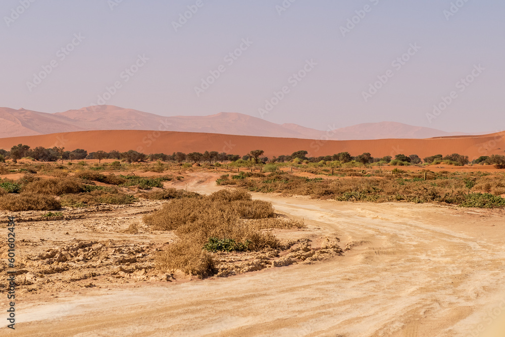 Impression of the massive sanddunes that comprise the Sossusvlei of western Namibia Impression of the massive sanddunes that comprise the Sossusvlei of western Namibia