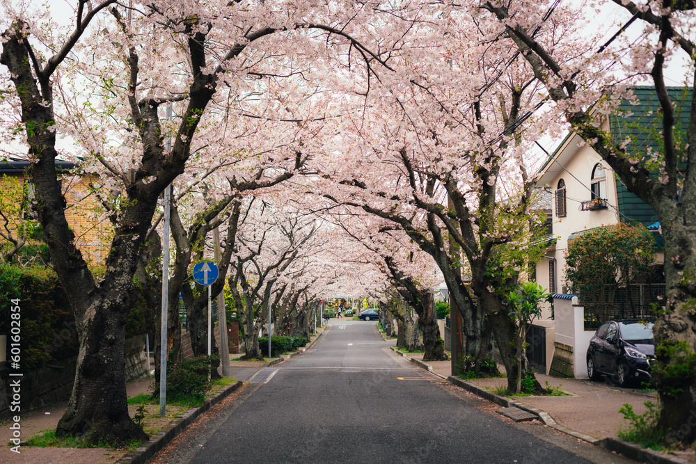 Kanagawa