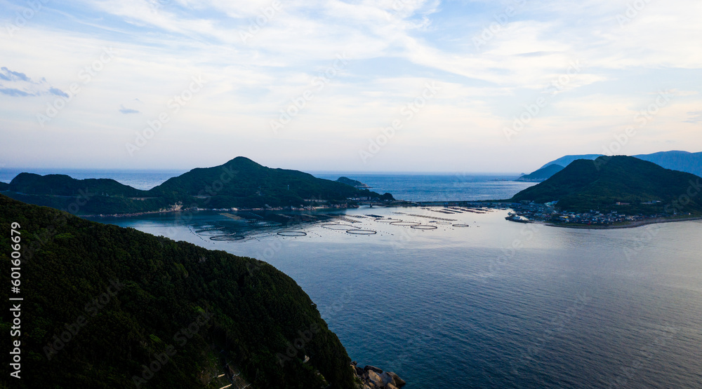 Naklejka premium Japan