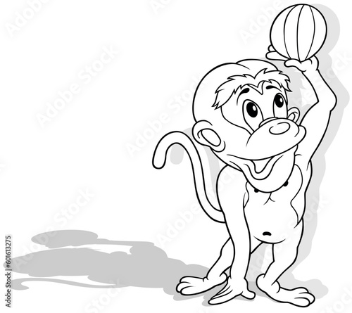 Drawing of Monkey Holds a B...