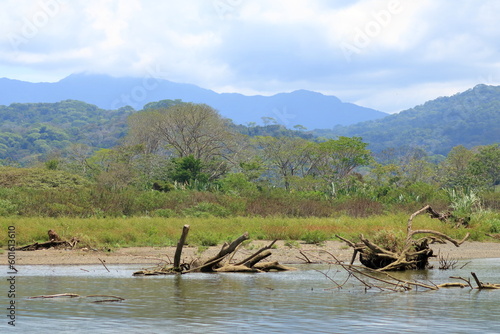 Excursion by boat on Rio Tarcoles near Tarcoles in Costa Rica