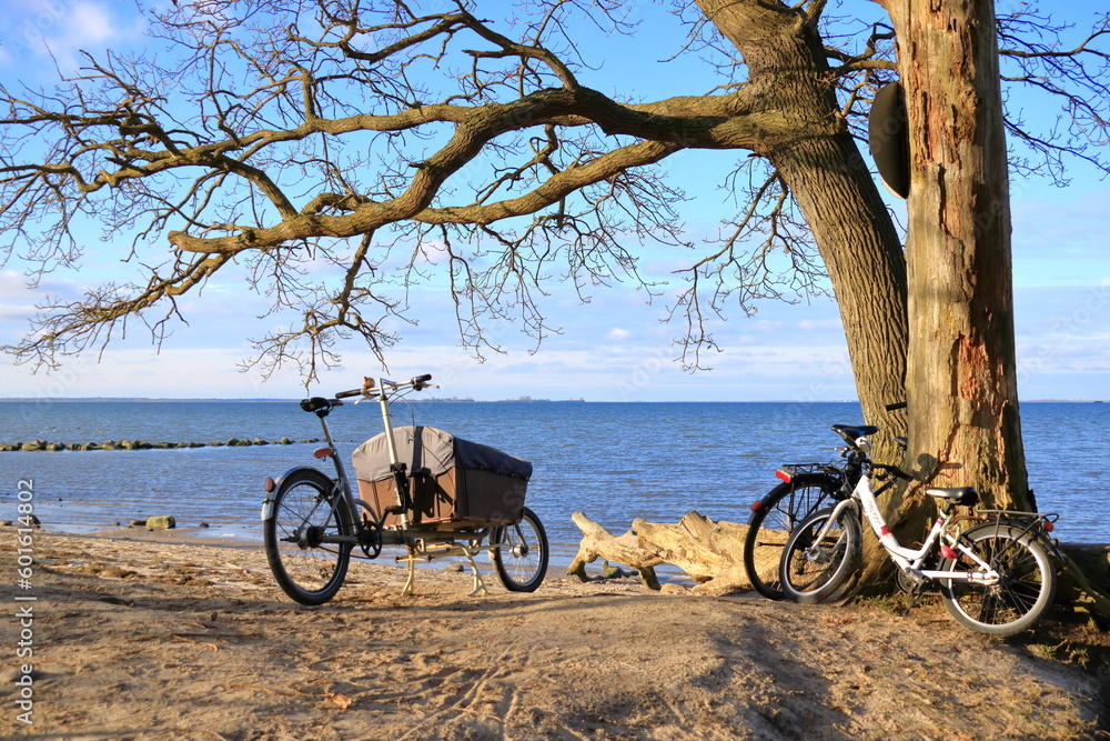 Fototapeta premium A cargo bike at the sea near Greifswald, Germany