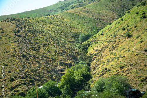 Green valley in Samarkand mountains