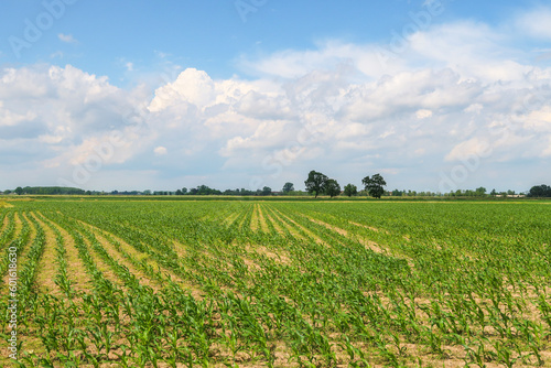 Po Valley landscape field cultivation nature natural agriculture farmhouse tree earth