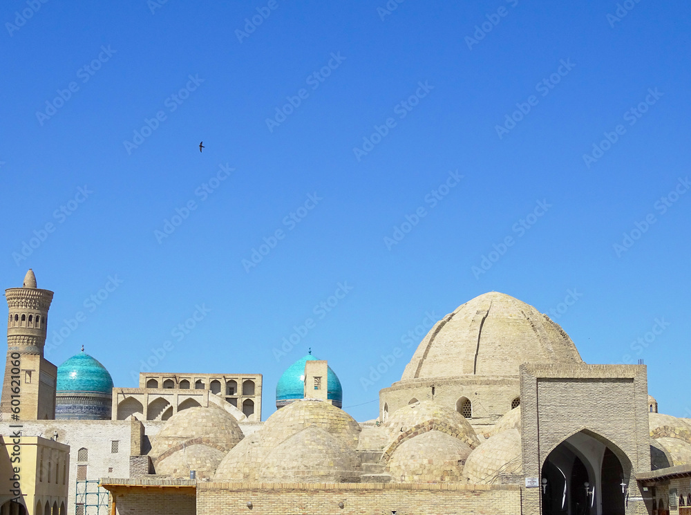 Trading domes of the ancient city of Bukhara