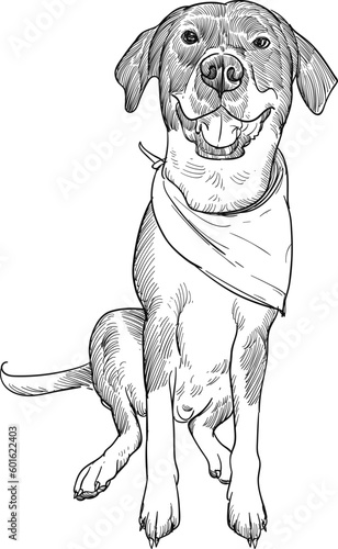 Vintage hand drawn sketch sit smile scarf bandana dog