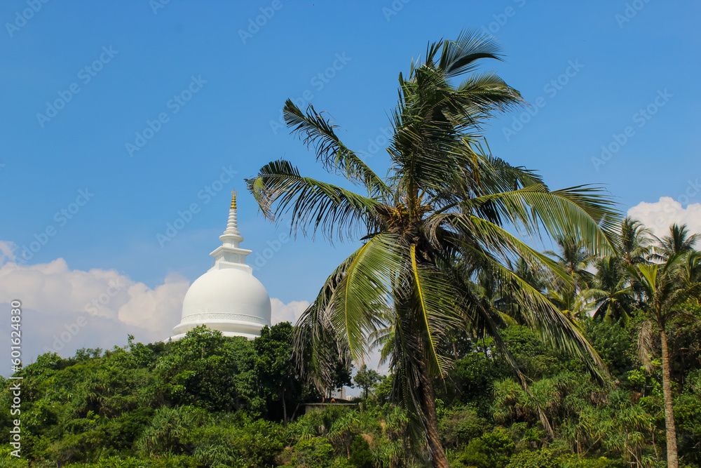 Unawatuna, Sri Lanka. Rocky sri lankan beach with wild waves. View on Japanese Peace Pagoda from Unawatuna Observation Point near jungle beach between Unawatuna and Galle in Sri Lanka.