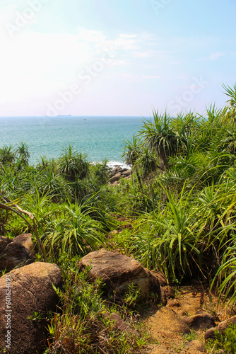Dark rocks and beautiful palm trees in the sun at Jungle Beach, Unawatuna, Sri Lanka, blue sky with clouds, copy space for text