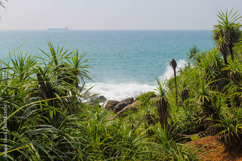 The seashore of Unawatuna, Sri Lanka dotted with palm trees, waves hitting the shore, copy space for text