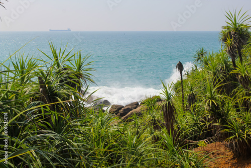 The seashore of Unawatuna, Sri Lanka dotted with palm trees, waves hitting the shore, copy space for text