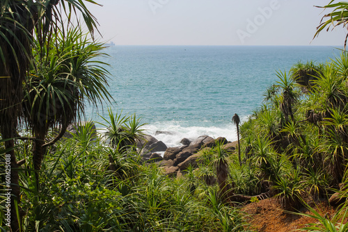 The seashore of Unawatuna, Sri Lanka dotted with palm trees, waves hitting the shore, copy space for text