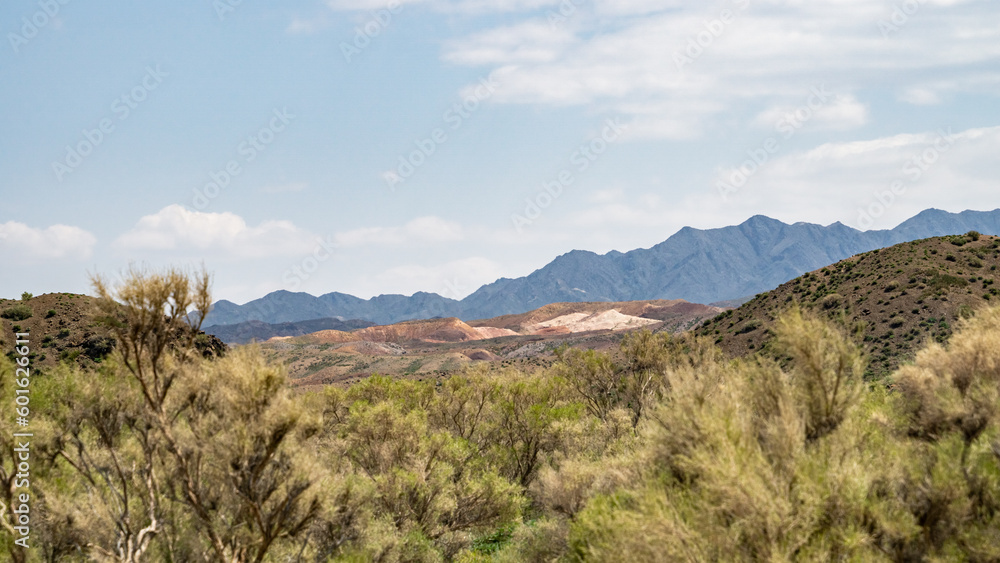 Fototapeta premium deserted hills. sandy rocks