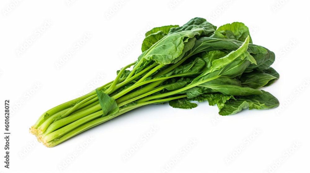 isolated white background photo of rapini. generative ai isolated white background photo of rapini. generative ai