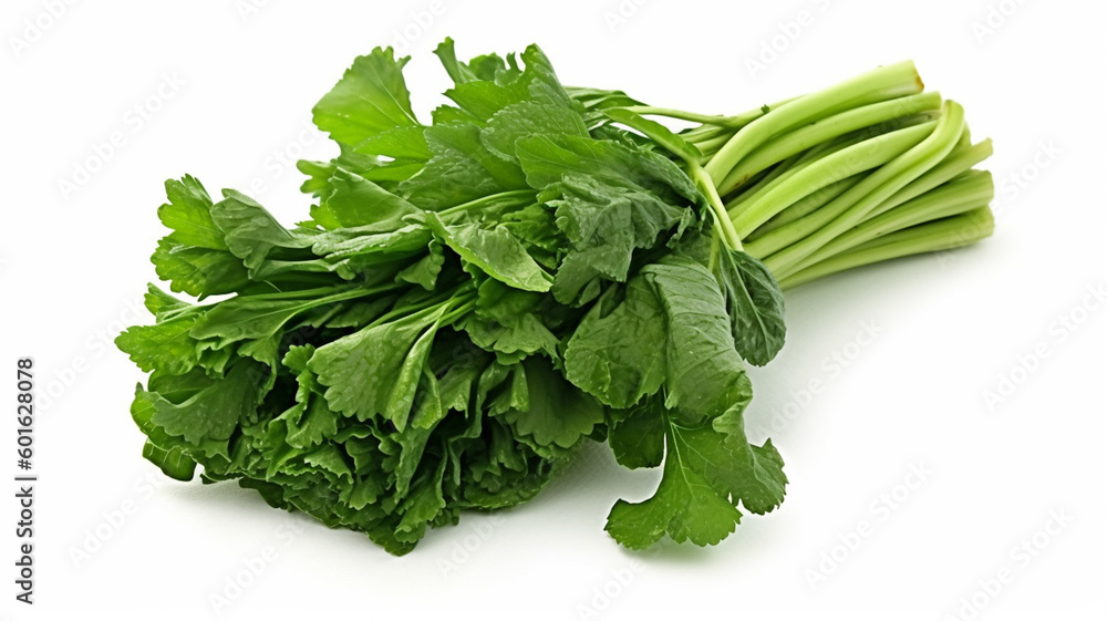 isolated white background photo of rapini. generative ai isolated white background photo of rapini. generative ai