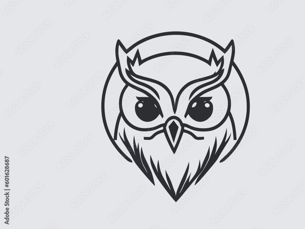 owl on white background