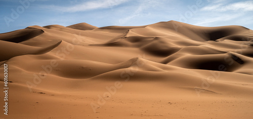 Fototapeta Naklejka Na Ścianę i Meble -  sand dunes in the desert