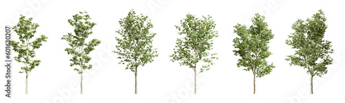 isolate tree in 3d rendering 