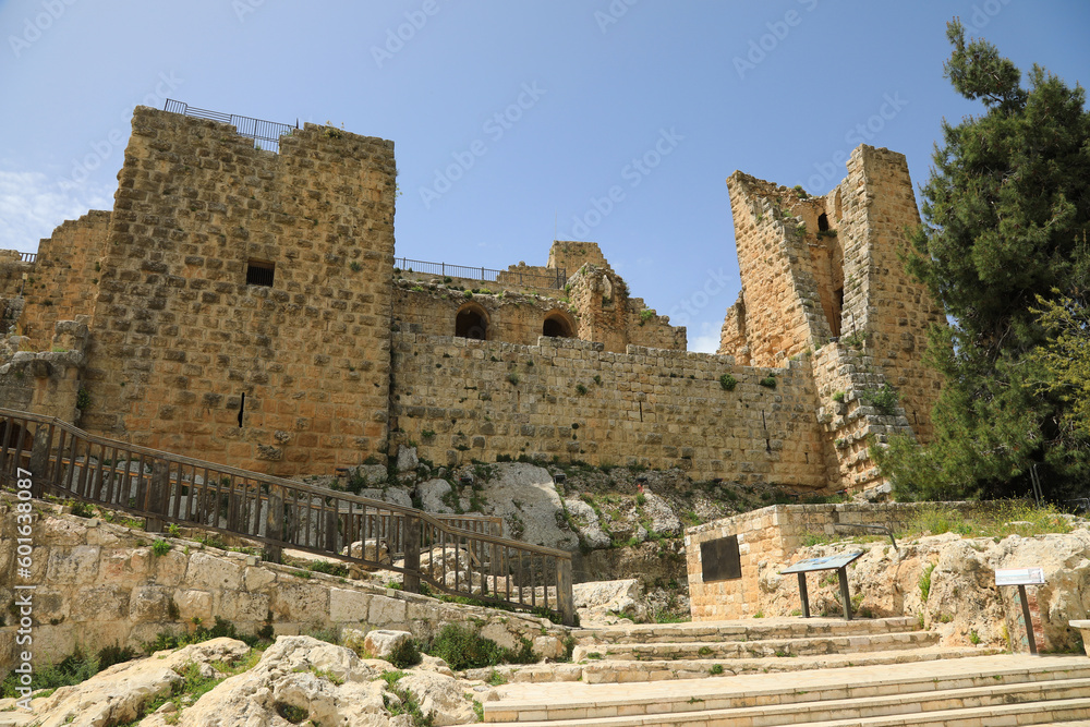 jordania castillo de ajlum fortaleza 4M0A0033-as23