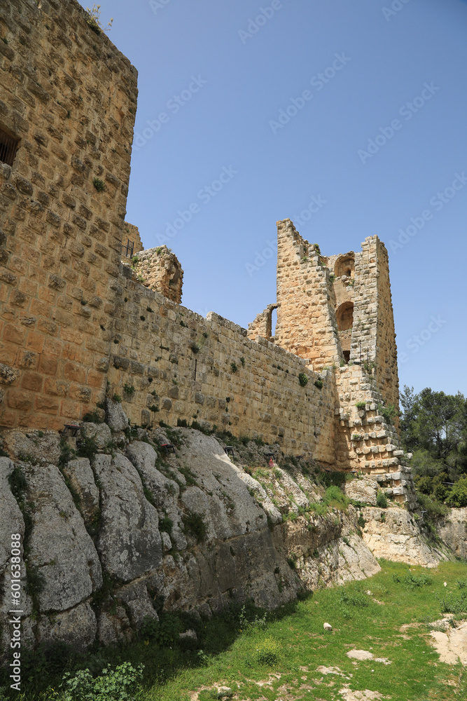 jordania castillo de ajlum fortaleza 4M0A0034-as23