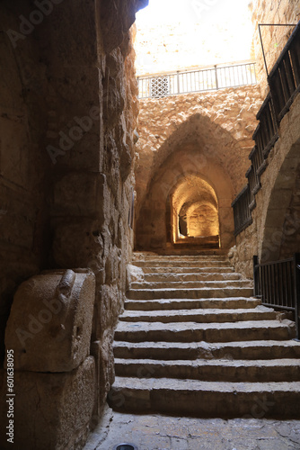 jordania castillo de ajlum fortaleza 4M0A0049-as23 photo