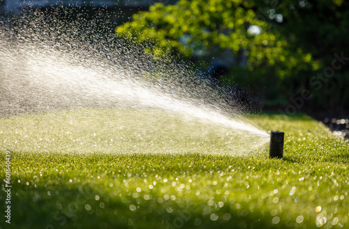 Efficient Garden Care: Automatic Sprinkler at Sunrise. concept wallpaper for a gardening business