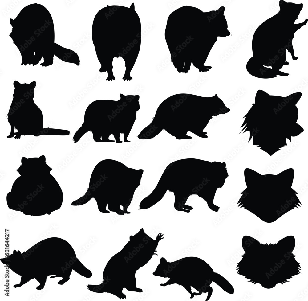 Fototapeta premium Raccoon silhouettes. Animals silhouettes