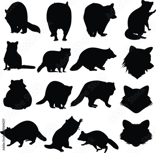 Raccoon silhouettes. Animals silhouettes