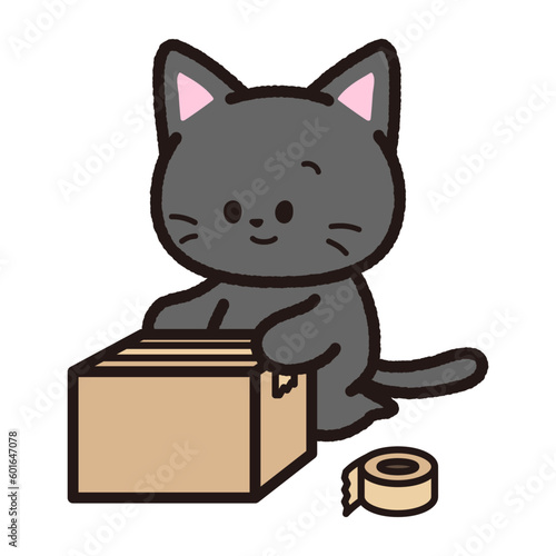 梱包する黒猫