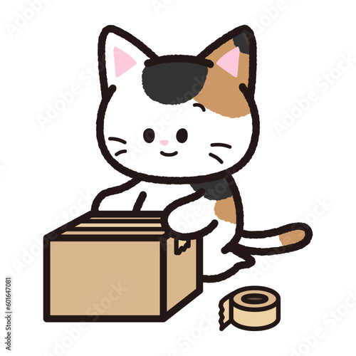 梱包する三毛猫