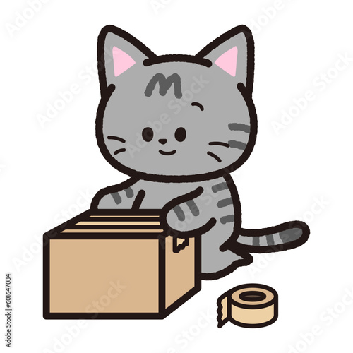 梱包するサバトラ猫