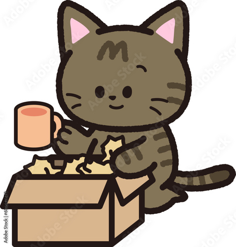 荷物を段ボールから取り出すキジトラ猫