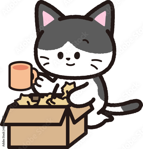 荷物を段ボールから取り出す黒いハチワレ猫