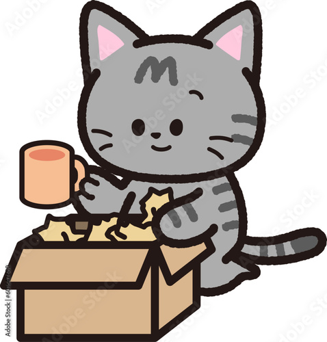 荷物を段ボールから取り出すサバトラ猫