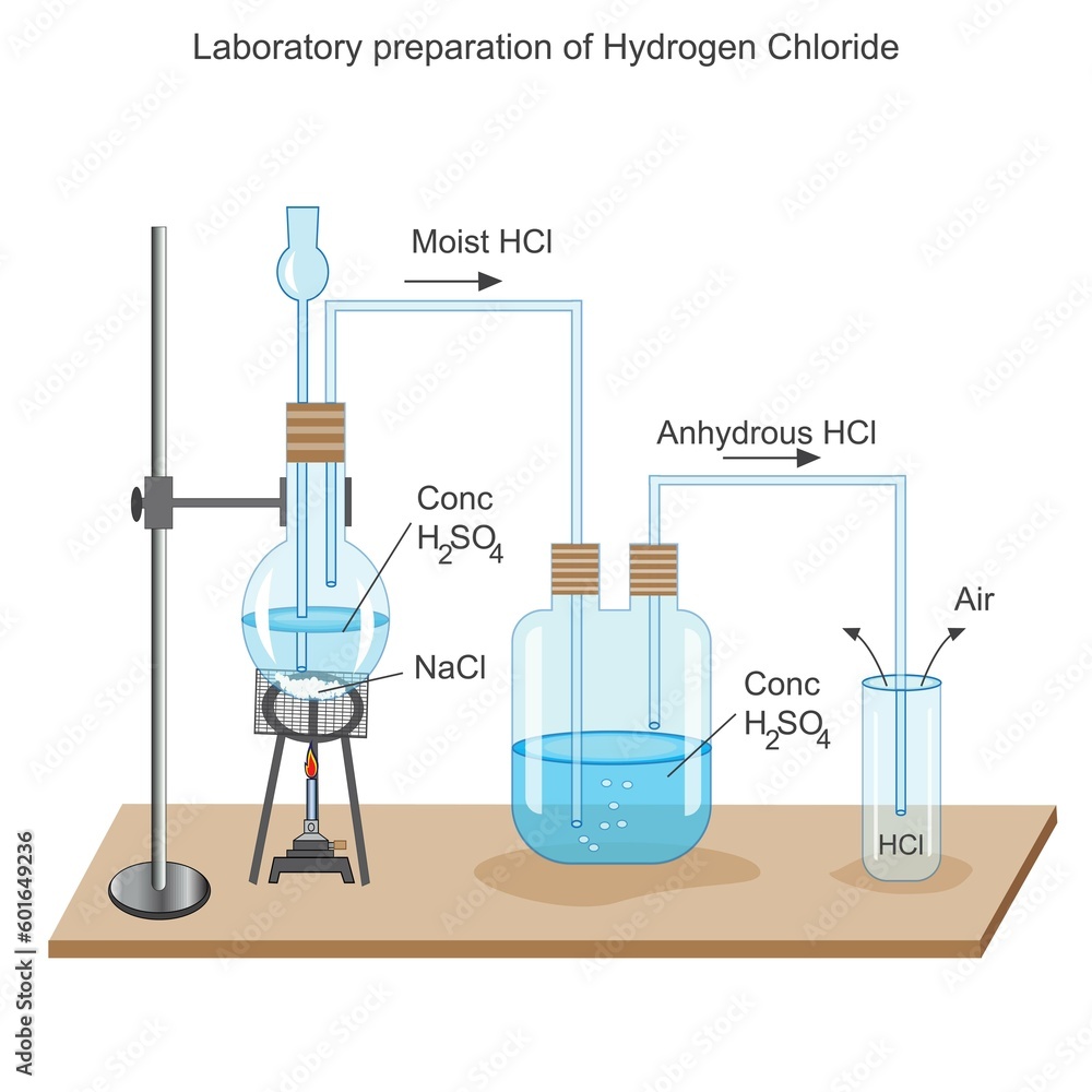 Laboratory preparation of hydrogen chloride. vector illustration